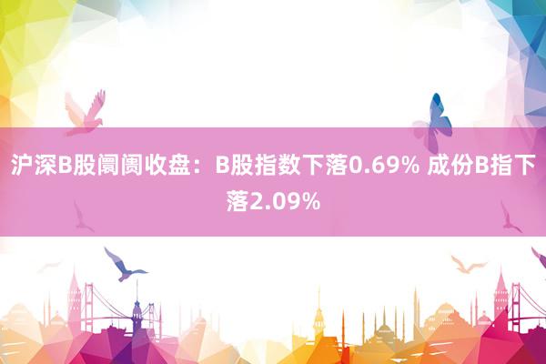 沪深B股阛阓收盘：B股指数下落0.69% 成份B指下落2.09%